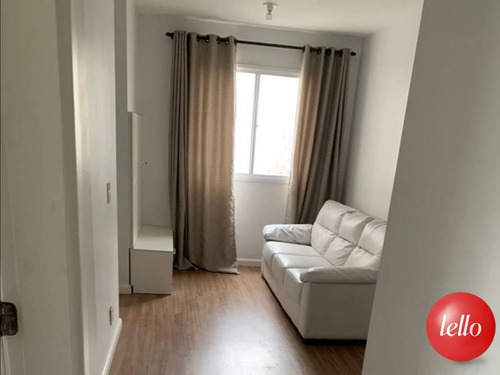 Imagem 2 de 19 de Apartamento - Ref: 235712