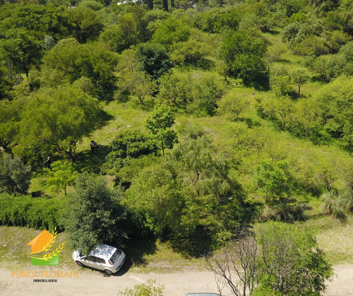 Terreno En La Serranita