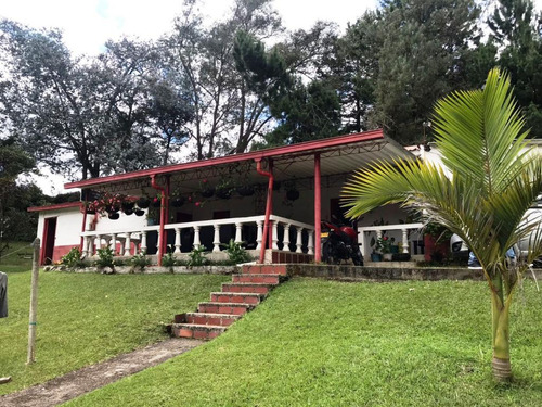 Finca En Venta En San Vicente - San Vicente De Ferrer