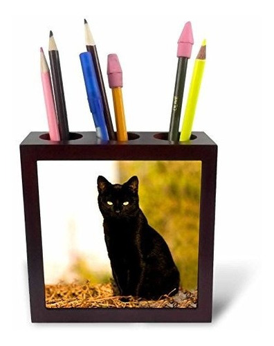 - Soporte Para Bolígrafo Con Imagen De Gato Negro, 5 Pulgada