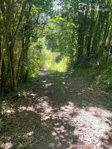 Parcela Con Acceso A Rio En Los Muermos