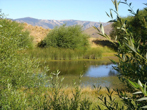 Imagen 19 de 30 de Campo En Venta Zona Alumine, Neuquén