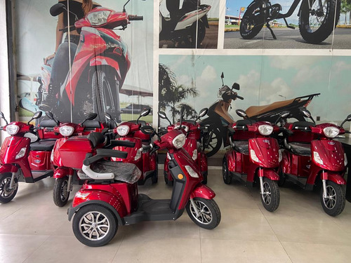Triciclo Elétrico Plus Tre48v Sousa Com Ré