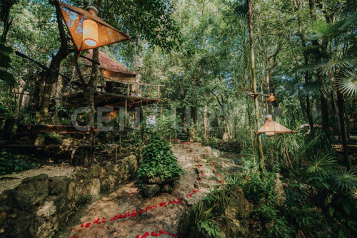 Terreno Con Villa Y Cenote En Ruta De Los Cenotes, Puerto Morelos