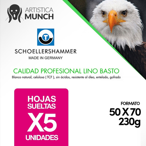 Papel Para Oleo 50x70 230gr 5 Hojas