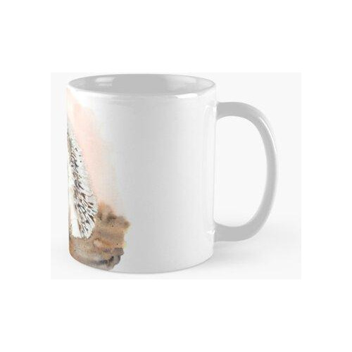 Taza Erizo Bebé Con Sandía Calidad Premium