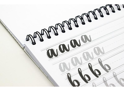 Libro Lettering Aprendizaje Artisan X 50 Hojas