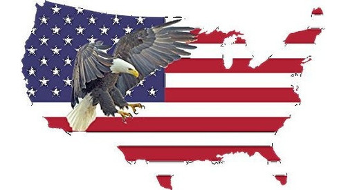 Gran American Eagle Bandera Pais Contorno Ee. Uu Estrellas Y