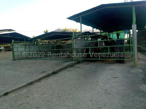 Finca Ganadera 267 Hectareas, Casa Principal De 550 Mts2 De Construcción Aproximados, 3 Depósitos De Maquinarias, Techos Nuevos, Ventanales Panoramicos Y Corredores