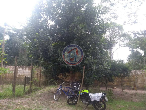 Imagem 18 de 30 de Chácara Com 4 Dorms, Jardim Coronel, Itanhaém - R$ 300 Mil, Cod: 6014 - V6014