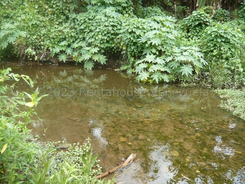 Imagen 29 de 30 de ( Terreno O Finca Agro Ecologica En Venta Chivacoa Sector Charay. Sorte 23-31244 As-1