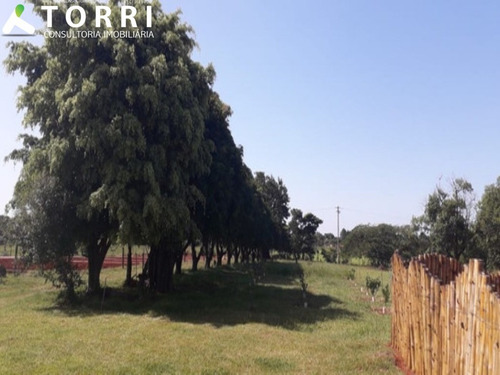 Imagem 18 de 20 de Sítio À Venda Em Cesário Lange/sp - St00084 - 68447401
