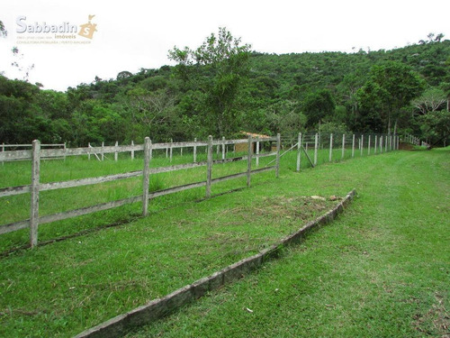 Casa Com 5 Dormitórios À Venda - Secretário - Petrópolis/rj - Ca0340