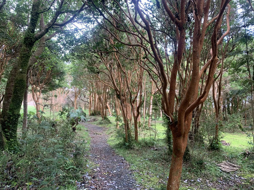 Rebajada! Parcela 1 Ha Con Luz, Agua, Cabaña Y Baños