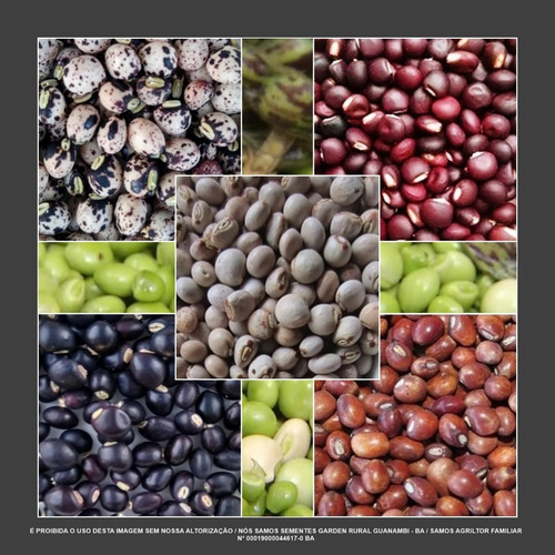 Sementes De Feijão Guandu Andu Vermelho Red Com + Variedades