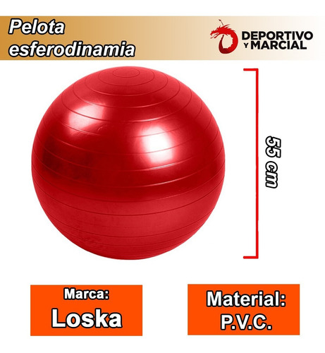 Imagen 3 de 7 de Pelota Esferodinamia 55 Cm Reforzada Gym Ball Pilates Yoga