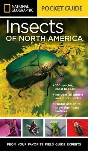 National Geographic Pocket Guide To Insects Of North America, De Arthur V. Evans. Editorial National Geographic Society, Tapa Blanda En Inglés