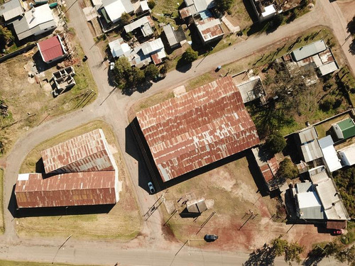 Deposito - Logística - Local - Nueva Palmira