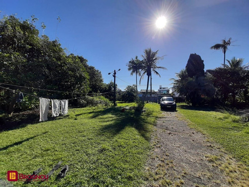 Imagem 15 de 15 de Terreno Comercial/residencial - Jardim Cidade De Florianopolis - Ref: 38521 - V-t19-38521