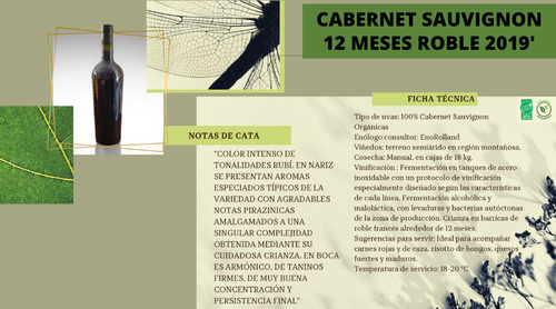 Vino Cabernet Sauvignon Sin Etiquetar 2019 Roble Mendoza X12