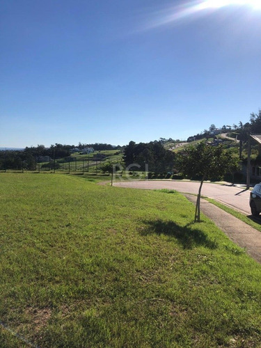 Terreno Em Vila Nova - El56353981