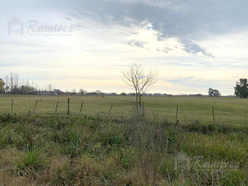 Imagen 8 de 15 de Campo En Venta - General Rodríguez
