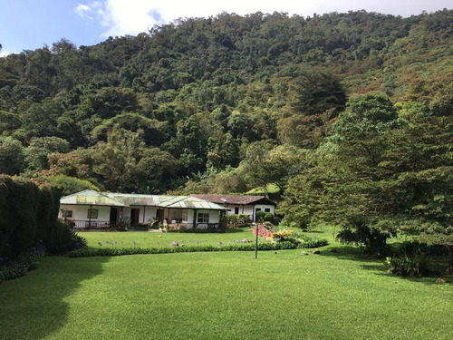 Imagen 4 de 11 de Hermosa Finca En Felidia, Cali, Vereda El Cedral Valle Del Cauca