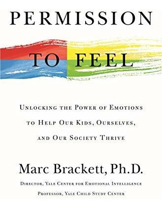 Book : Permission To Feel Unlocking The Power Of Emotions To