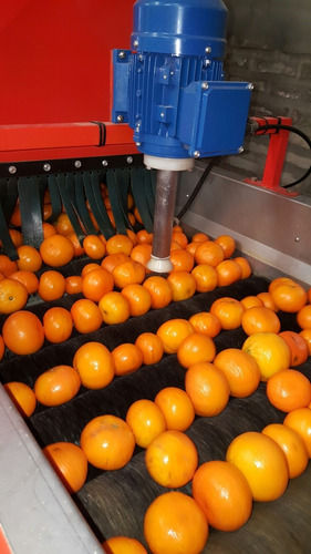 Lavadoras Enceradoras De Frutas