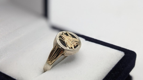 Anillo En Plata, Oro Y Onix Profesion Maestra