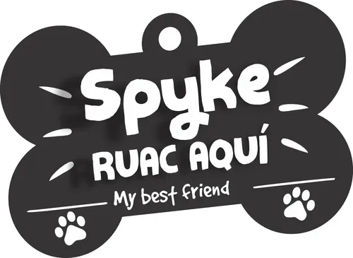 Placa de Identificación Grabada para Mascotas