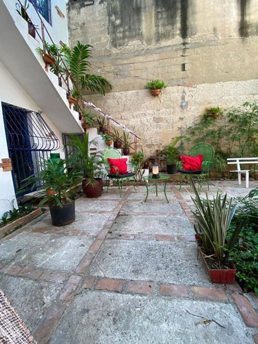 Imagen 6 de 14 de Alquiler, Apartamento De 1 Habitación, Ciudad Nueva