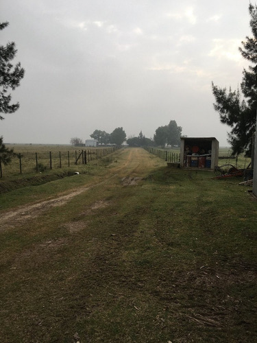 Imagen 13 de 21 de 390 Has. Campo Ganadero A Tranquera Cerrada