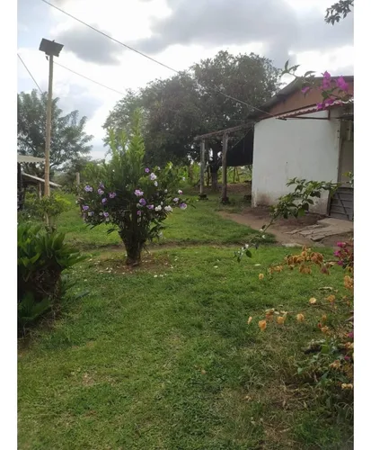 Venta Finca Circasia Via Armenia - 14 Cuadras