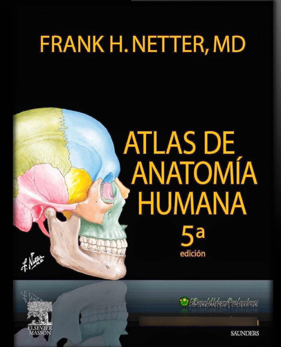 Atlas De Anatomia Netter 5ta Edicion