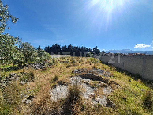 Imagen 6 de 12 de Terreno Venta En Cacalomacan