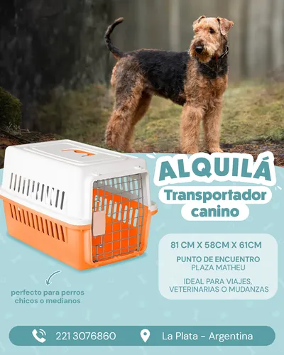 Alquiler De Transportador Canino