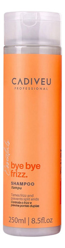 Bye Bye Frizz Kit Shampoo + Condicionador 2x250ml - Cadiveu