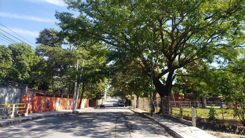 Imagen 4 de 4 de Terreno En Venta En La Col. Las Palmas