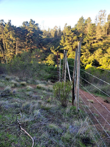 Terreno Ubicado A Menos De Un Kilometro De Algarrobo Centro