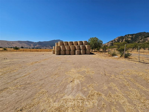 Agrícola En Arriendo En Sagrada Familia