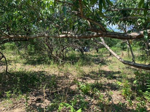 Imagen 8 de 12 de Terreno En Venta Rivera Cupia