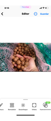 Nuez De Macadamia