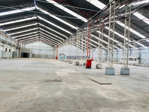 Imagem 6 de 11 de Galpão Área Industrial Km 30 Castelo - Mo872