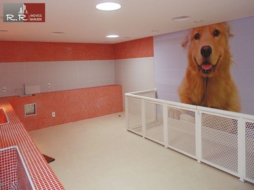 Imagem 17 de 30 de Rrcod3521 Apartamento 76m² Condomínio Central Park - 3 Dorms - 2 Vagas - Oprtunidade - Ótima Localização - Rr3521 - 69426231