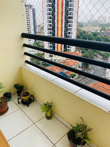 Apartamento - Ap12178 - 69394593