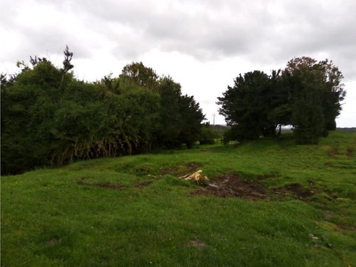 Se Vende Campo Con Casa Rustica Y Cabañas En Sector Coquiao