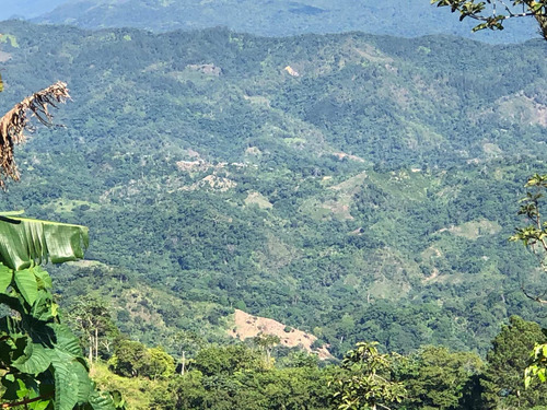 Vendo Casa De Veraneo En La Montaña De San C. La Colónia