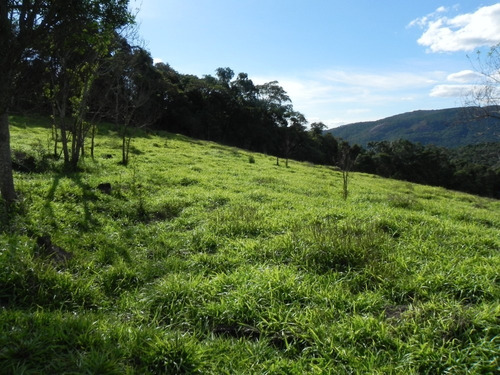 (sc) Lotes No Melhor Local De T.preta, Direto C/proprietario