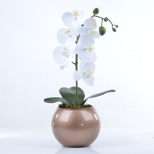 Arranjo De Orquídea Branca De Silicone Em Aquário Cobre Luiz | Parcelamento  sem juros